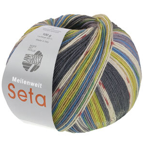 Lana Grossa MEILENWEIT 100g Seta Giappone | 3387-mørk grå/ecru/terrakotta/limett/musegrå/pistacie/azurblå