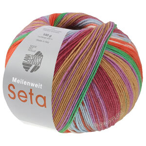 Lana Grossa Meilenweit Seta Hokkaido | 3584-lys blå/brun/ecru/rust/grøn/violet/lerbrun/burgund