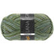 Lana Grossa MEILENWEIT 100g Terrazzo | 1611-