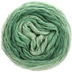 Lana Grossa SLOW WOOL LINO Dégradé | 203-pastelgrøn/grågrøn/patinagrøn