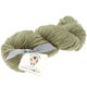 Lana Grossa SLOW WOOL LINO | 23-høgrøn
