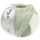 Lana Grossa SOFT COTTON Dégradé | 114-hvid/sølvgrå/lys grå/grå