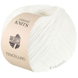 Lana Grossa TENCELLINO | 01-hvid