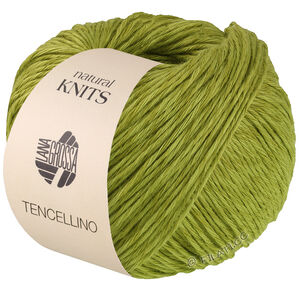 Lana Grossa TENCELLINO | 05-pistacie