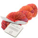 Lana Grossa UNICO (Linea Pura) | 10-bordeaux/kobberrød/mørk orange