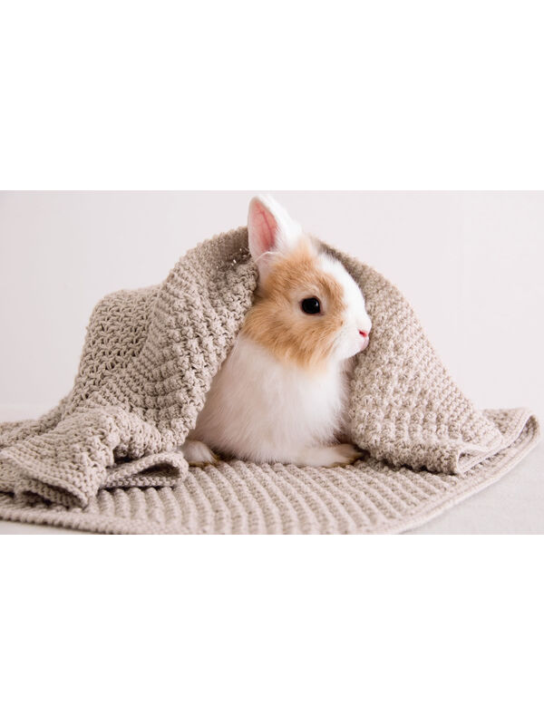 Lana Grossa PLAID Cool Wool Baby