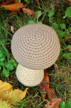 Lana Grossa CHAMPIGNON Star