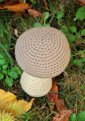 CHAMPIGNON Star fra Lana Grossa