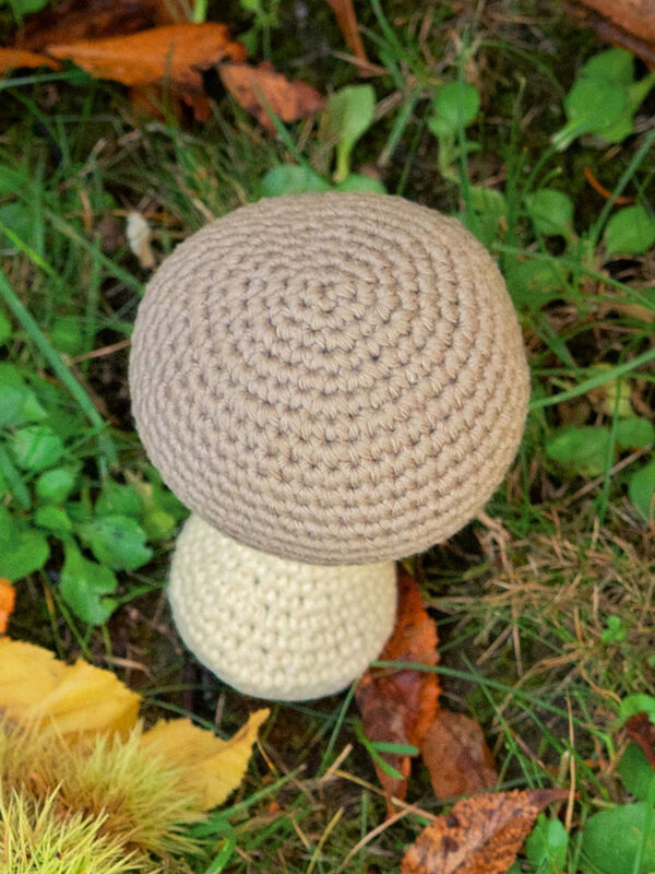 Lana Grossa CHAMPIGNON Star