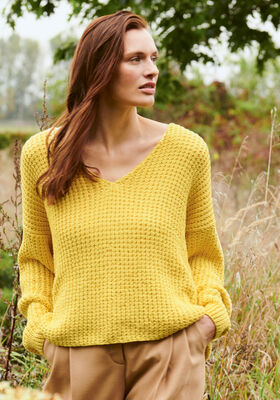 V-HALS SWEATER Organico fra Lana Grossa