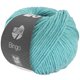 Lana Grossa BINGO Mélange (We Care) | 1039-oceantyrkis meleret