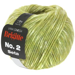 Lana Grossa BRIGITTE NO. 2 Seta | 05-lys grøn meleret