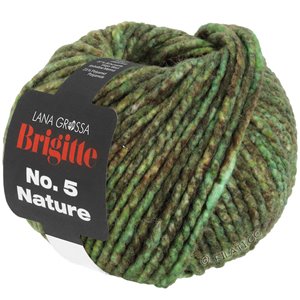 Lana Grossa BRIGITTE NO. 5 Nature | 103-grøn/brun meleret