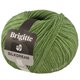 Lana Grossa BRIGITTE Silkdream | 19-grøn