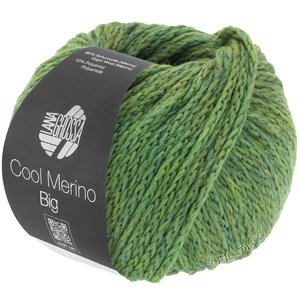 Lana Grossa COOL MERINO Big | 204-grøn