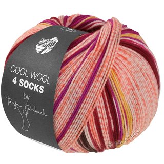 Lana Grossa COOL WOOL 4 SOCKS PRINT III