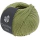 Lana Grossa COOL WOOL Seta | 22-ahorngrøn