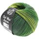 Lana Grossa COOL WOOL Degradé | 6011-gulgrøn/mørk grøn/grågrøn