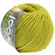 Lana Grossa COTTON MIX 80 (McWool) | 534-pistacie