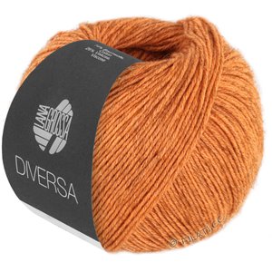 Lana Grossa DIVERSA | 21-orange