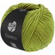 Lana Grossa ELASTICO | 202-pistacie