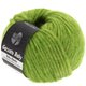Lana Grossa GARZATO Baby | 15-pistacie