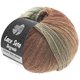 Lana Grossa LACE Seta Dégradé 50g | 115-natur/grøngrå/nougat/chokoladebrun