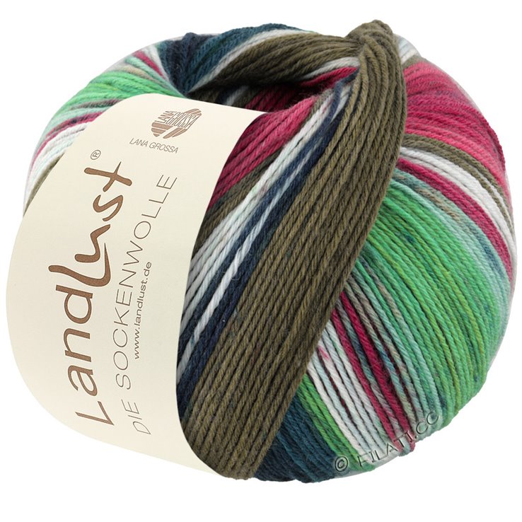 Lana Grossa LANDLUST DIE SOCKENWOLLE 150g 6-Ply | 924-