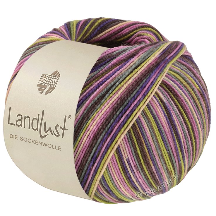 Lana Grossa LANDLUST DIE SOCKENWOLLE SEIDE PRINT | 361-