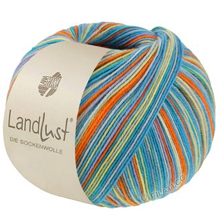 Lana Grossa LANDLUST DIE SOCKENWOLLE SEIDE PRINT