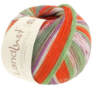 Lana Grossa LANDLUST DIE SOCKENWOLLE