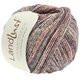 Lana Grossa LANDLUST SOMMERSEIDE Mélange | 108-grå rød meleret