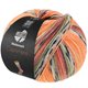 Lana Grossa MEILENWEIT 100g Cashmere Pista | 141-orange/lys grå/mørk grå/brunorange/lys grøn/lyng/brombær/gråbrun stribet