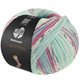 Lana Grossa MEILENWEIT 100g Cashmere Pista | 142-mynte/turkis/hvid/grå/lys blå/fuchsia stribet