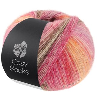 Lana Grossa MEILENWEIT 100g Cosy Socks Dream