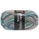 Lana Grossa MEILENWEIT 100g Mandola | 4355-