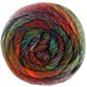 Lana Grossa MEILENWEIT 100g Rainbow | 6410-ruste/grafit/mørk rød/grågrøn/løvgrøn/skog grøn/orange/bordeaux/karamel/rød