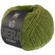 Lana Grossa NEBBIA (Nera) | 10-æblegrøn