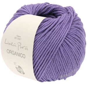 Lana Grossa ORGANICO  Uni (Linea Pura) | 151-violet
