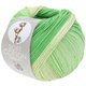 Lana Grossa SOFT COTTON Dégradé | 118-ecru/sartgrøn/jade