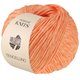 Lana Grossa TENCELLINO | 14-laksorange