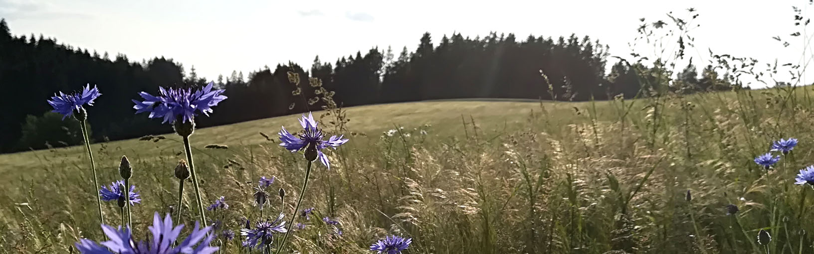 Særlig varer Outlet | Forår / Sommer