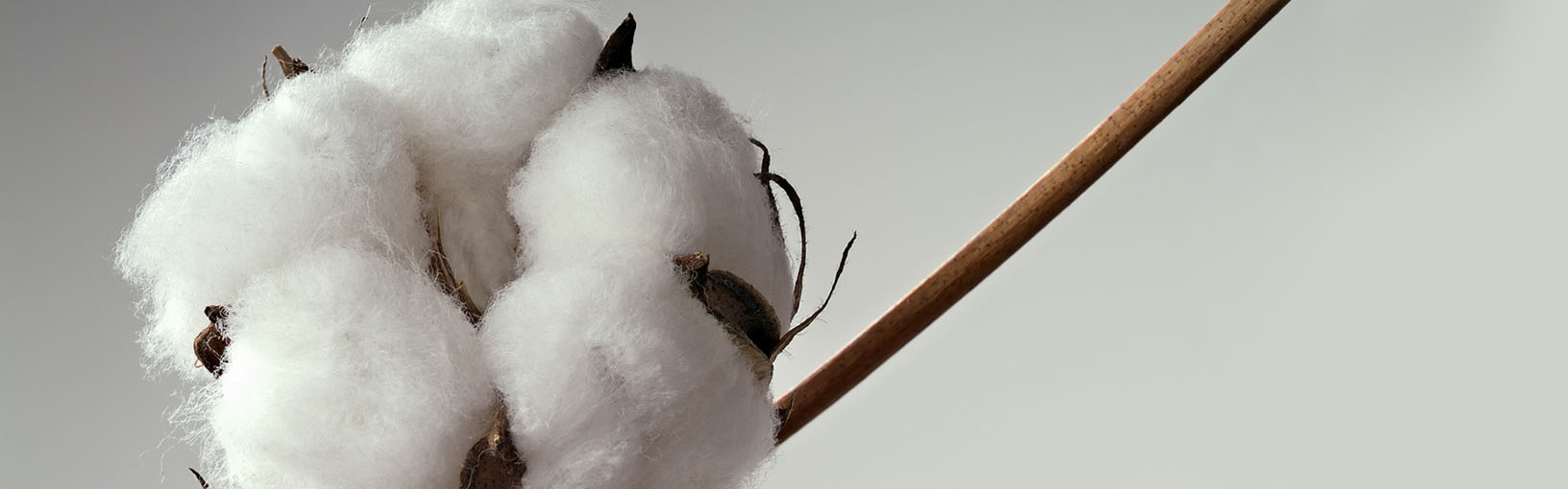 Garn af høj kvalitet til strikning, hækling og filtning LANA GROSSA<br> uld & garn
