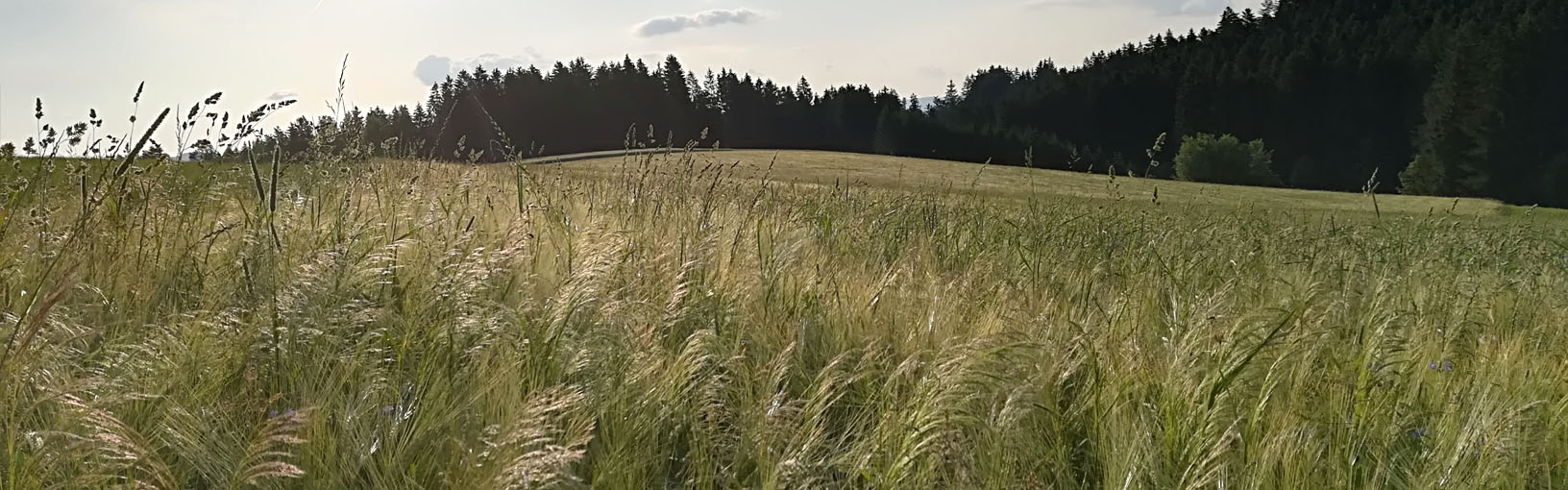 Gratis Strikkeopskrift / Hækleopskrift ved bestilling af garn Modelpakker<br>